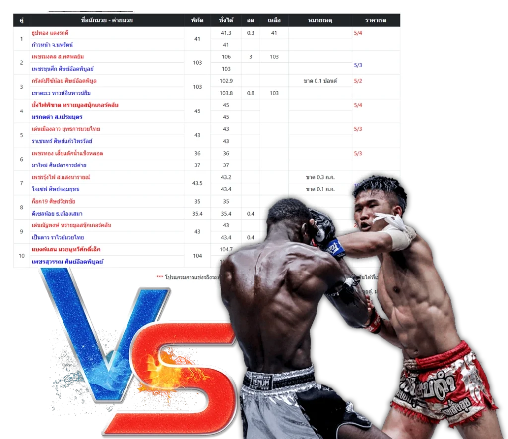 โปรแกรมมวยไทย