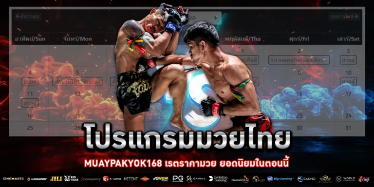 โปรแกรมมวยไทย